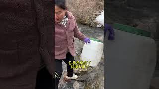 鑫鑫在家乡