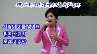  가수 비주안:사랑이 비를 맞아요(원곡:배금성)