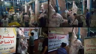 جمعية خير أمة | مشروع أضاحي 2016 - فلسطين - قطاع غزة