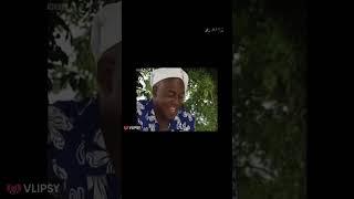 How  to get memes #The Curious Mind