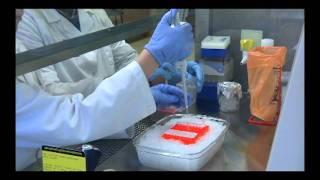 Bioscience Technology