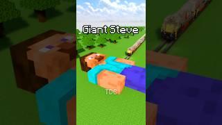 Big and Small Steves vs Train