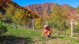 Beautiful Iranian Mountain Village | Traditional Life of Iran | Peaceful And Relaxing Village Life