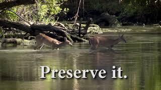 Preserve it.