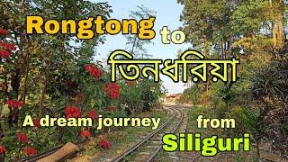 Rongtong to Tindharia II A dream journey from Siliguri II Toptours