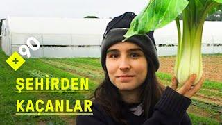 Şehirden kaçanlar: Plazadan tarlaya | "Modern ve doğaya saygılı tarım"