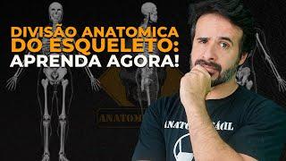 DIVISÕES ANATÔMICAS ESQUELETO: APRENDA AGORA E NUNCA MAIS SE ESQUEÇA!