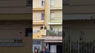 Wild Macaque Monkey Traversing a Balcony