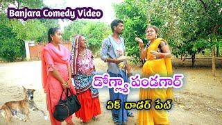 Doglya Pandaga  EK Dhader Pait // Banjara New Comedy Video // Fish Vinod Kumar And Rajeshwary Comedy