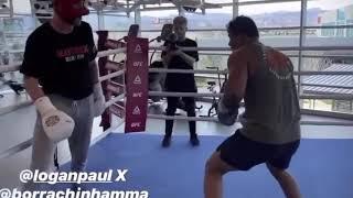 Logan Paul Sparring Paulo Costa At UFC Performance Institute