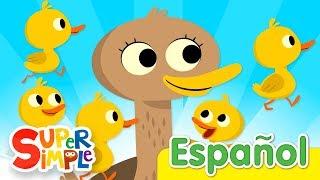 Cinco Patitos | Canciones Infantiles | Super Simple Español