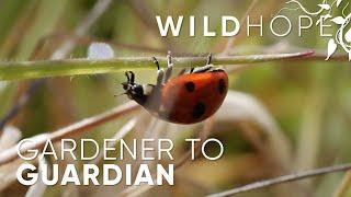 Gardener to Guardian, Rewilding the Nature Around You | WILD HOPE