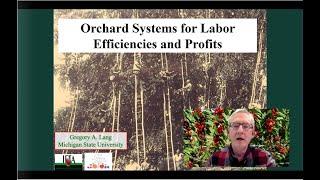 Orchard Systems for Cherry Efficiencies and Profits