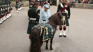 Queen reunited with cheeky Shetland pony who nibbled on her flowers