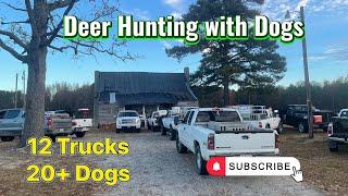 Deer Hunting with Dogs | NC 2023 Season | Deer Down!