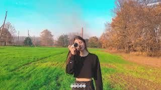 Những Bài Hát Lofi Tiếng Anh Cực Chill Hot Nhất Trên TikTok | Best English Lofi TikTok Songs