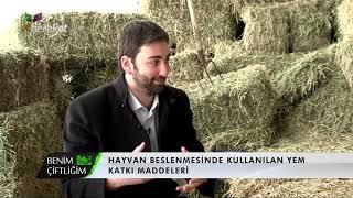 Benim Çiftliğim - Hayvan Beslenmesinde Kullanılan Yem Katkı Maddeleri