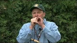 Duck Calling Tips from Bill Miller - North American Hunting Club