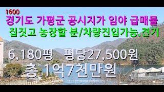 [번호 1600}경기도 가평군 청평면 집짓고 농장할 임야