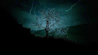 Relax to Heavy Rainstorm and Nonstop Thunder Sounds | My nature sounds experience for deep sleep