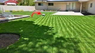 Anthbot Genie Robot Mower Test – No Wires, Perfect Stripes!