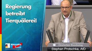 Regierung betreibt Tierquälerei! - Stephan Protschka - AfD-Fraktion im Bundestag