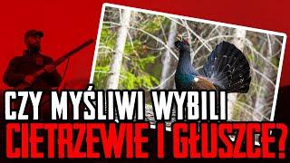 Czy myśliwi wybili cietrzewie i głuszce?