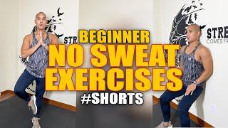 Beginner No Sweat Exercises