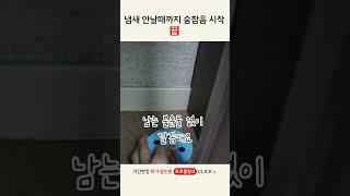 냄새 안날때까지 숨참음 시작 끝  #탈취제 #탈취제추천 #옷장탈취제 #신발장탈취제 #에어메딕 #생활팁 #리빙픽