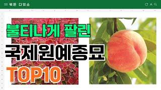 요즘 잘 팔리는 국제원예종묘 추천 TOP10 (가격,평점,비교)