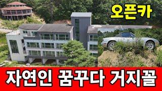 나만의 자연인 왕국은 무너졌다  오픈카는 공중부양중