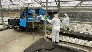 Shredding hydroponic greenhouse crop