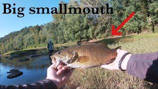 Aggressive Topwater Smallmouth in a Low River (West Virginia Smallmouth Fishing)