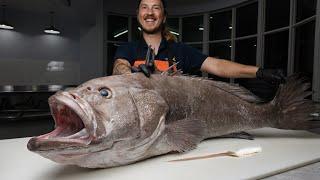 This Deep Sea Creature is one of the Best Tasting Fish in the Ocean