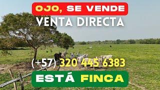 SE VENDE - ESTÁ FINCA - Venta directa con el dueño: (+57) 310 355 8414