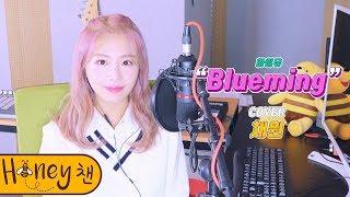 IU - BluemingㅣCOVER by 채원ㅣCOVERㅣHoney챈