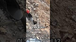 절벽에 튀어나온 철근의 정체는?