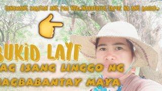 MAHIHINOG NA ANG PALAY | NUEBEE FAM