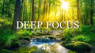 Work Music for Concentration - 12 Hours of Ambient Study Music to Concentrate #30