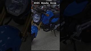 Introducing the 2025 Honda Grom #short #gromlife #honda