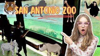 San Antonio Zoo Tour 2024 4K 60fps