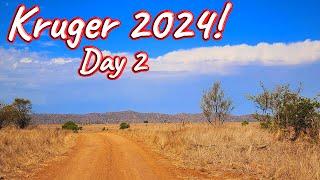 Kruger National Park, South Africa – Day 2! S1 – Ep 542