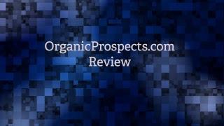 Amazing OrganicProspects 4 Star