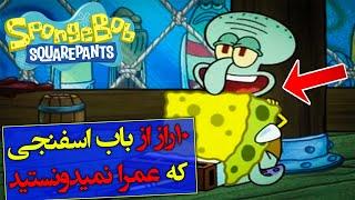 تئوری باب اسفنجی / ده راز عجیب از باب اسفنجی که نمیدونستید  / spongebob squarepants