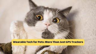 Wearable Tech for Pets: More Than Just GPS Trackers