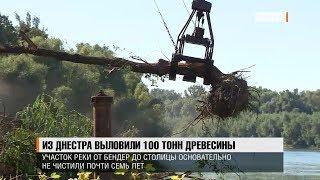 Из Днестра выловили 100 тонн древесины