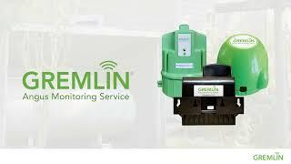 Discover the GREMLIN Tank Monitor