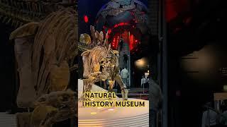 Natural history museum #naturalhistorymuseum #dianosaur #jurassicpark #uk #london #indiansinuk