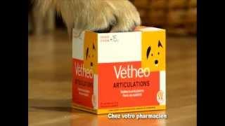 Vétheo | Publicité Vétheo Articulations