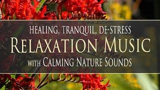 Tranquil Healing RELAXATION MUSIC ‍️ with 7.83Hz for a Heightened State of Relaxation